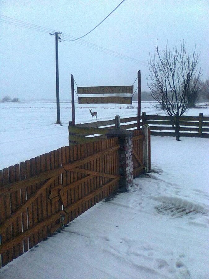 Проживание в семье Agroturystyka Lubia Miastkowo-6